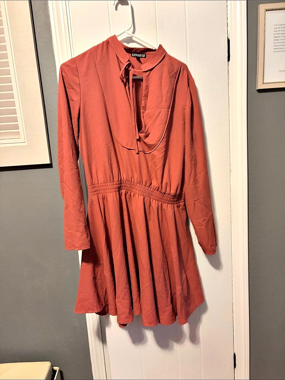 Express Long Sleeve Mini Dress in Orange Like New
